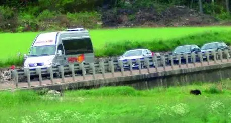Mamma orsa e tre cuccioli fra le auto