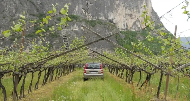 Rotaliana, crescono i furti alle auto in campagna