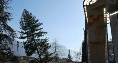 Blitz delle motoseghe, alberi secolari tagliati ad Arco