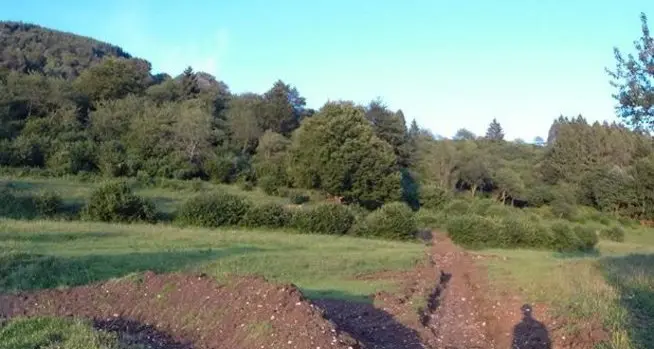 «Sfregio» sui pascoli di Malga Zanga: arriva la Forestale