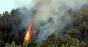 Pericolo incendi boschivi in Trentino, alzato il livello d’allerta