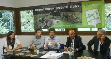 Metti una mucca sotto l'albero