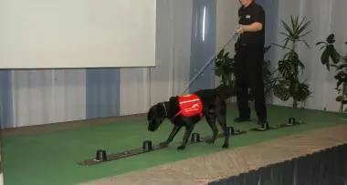 La diagnosi del tumore la fa il cane
