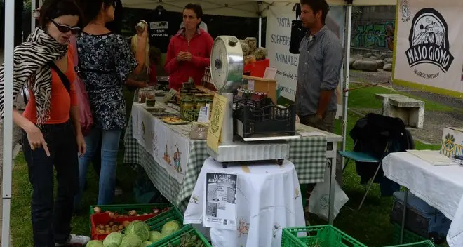 Mangiare vegano nel parco fra quinoa, seitan e farro
