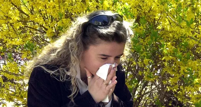 Allergie, scatta l’allerta Nell’aria i primi pollini