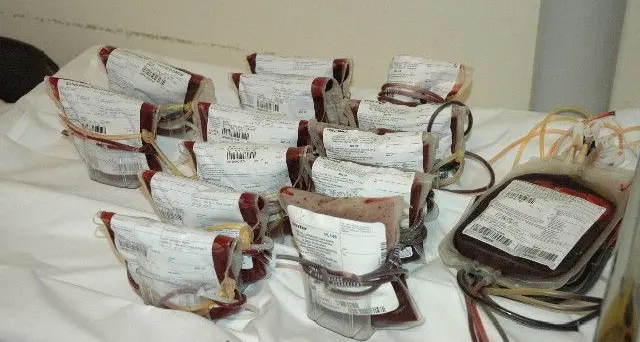 Sangue, tante donazioni Il Trentino esporta sacche