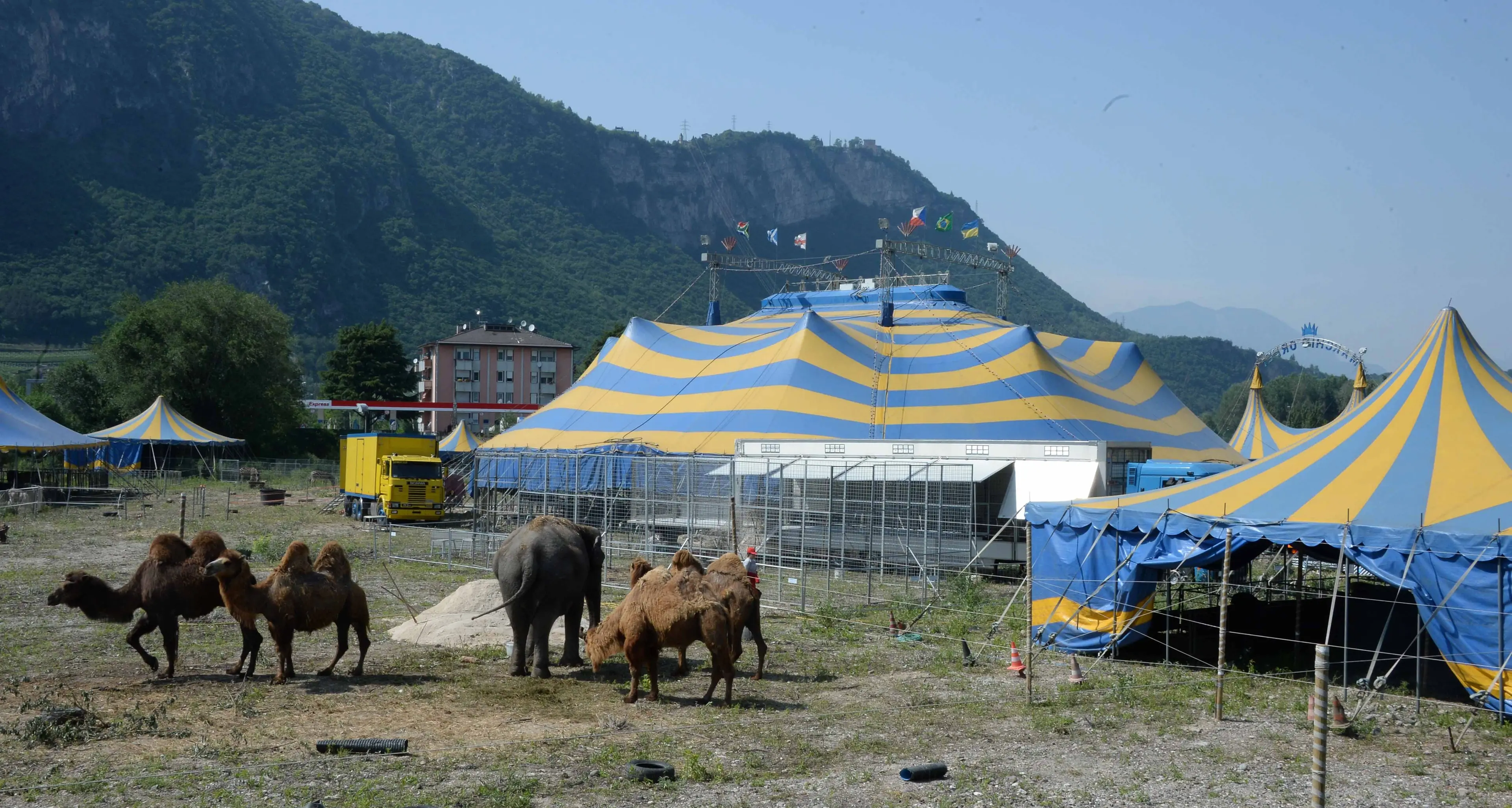 C'è il tendone del circo al posto del Not