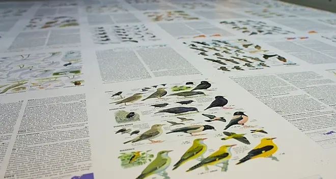 La «bibbia» degli uccelli stampata in Trentino