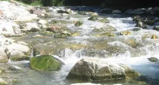 La grande marcia per l'acqua mobilita il Trentino