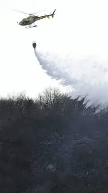 Dro, bruciati sette ettari di bosco