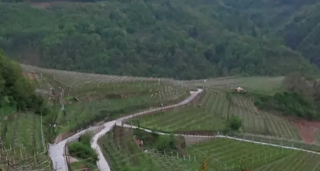 Anziano muore cadendo in un dirupo