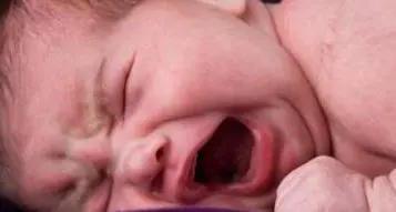 La bimba piange, il vicino li denuncia