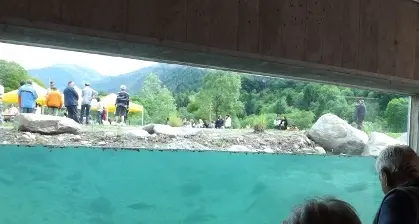 «Acqua life», la fauna ittica in mostra
