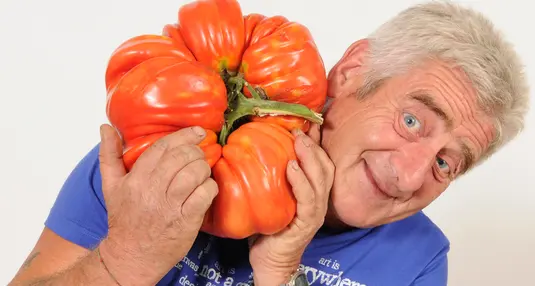 Pomodoro da record: «In Italia mai arrivati ai 4 chilogrammi»