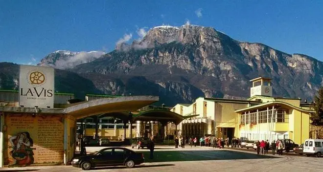 Fideiussione, patteggia LaVis
