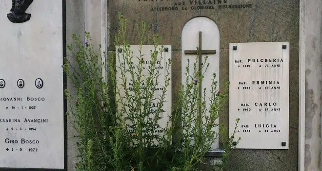 Levico rischia di perdere i diritti sul lascito Sordeau