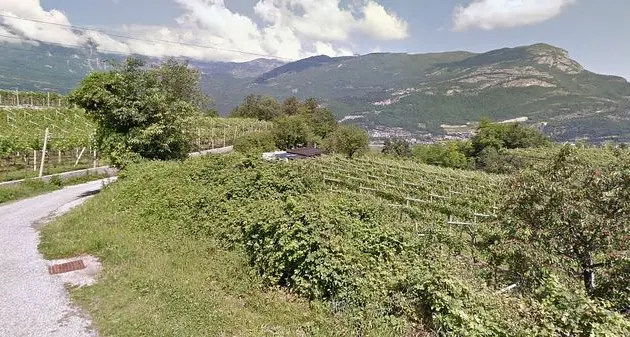 Il corpo di un uomo nei campi di Volano
