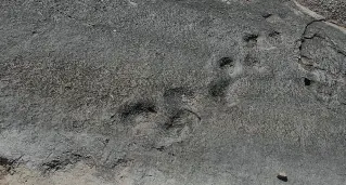 Rovereto: le piste dei dinosauri dei Lavini in un videogame 3D