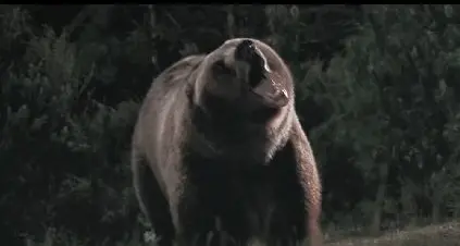 Ecco lo spot «trentino» dell'Audi