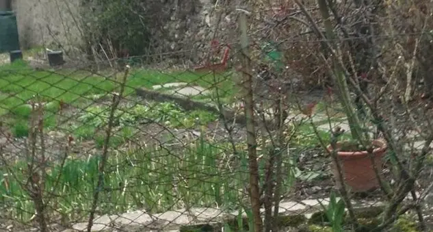 Mezzolombardo, cresce «l’orto mania»