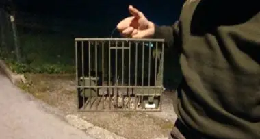 Chiede i danni per il tordo morto