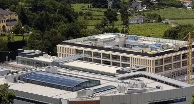 Personale, Fondazioni «bacchettate»