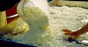 Sette chili di formaggio rubato in casa: denunciato