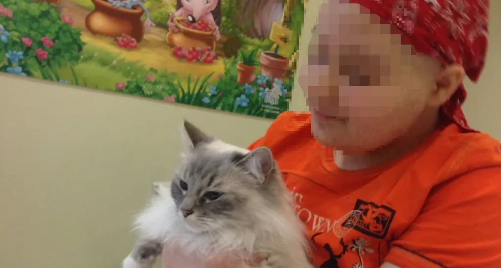 Trento: cani, gatti, asini e cavalli per curare i bimbi malati
