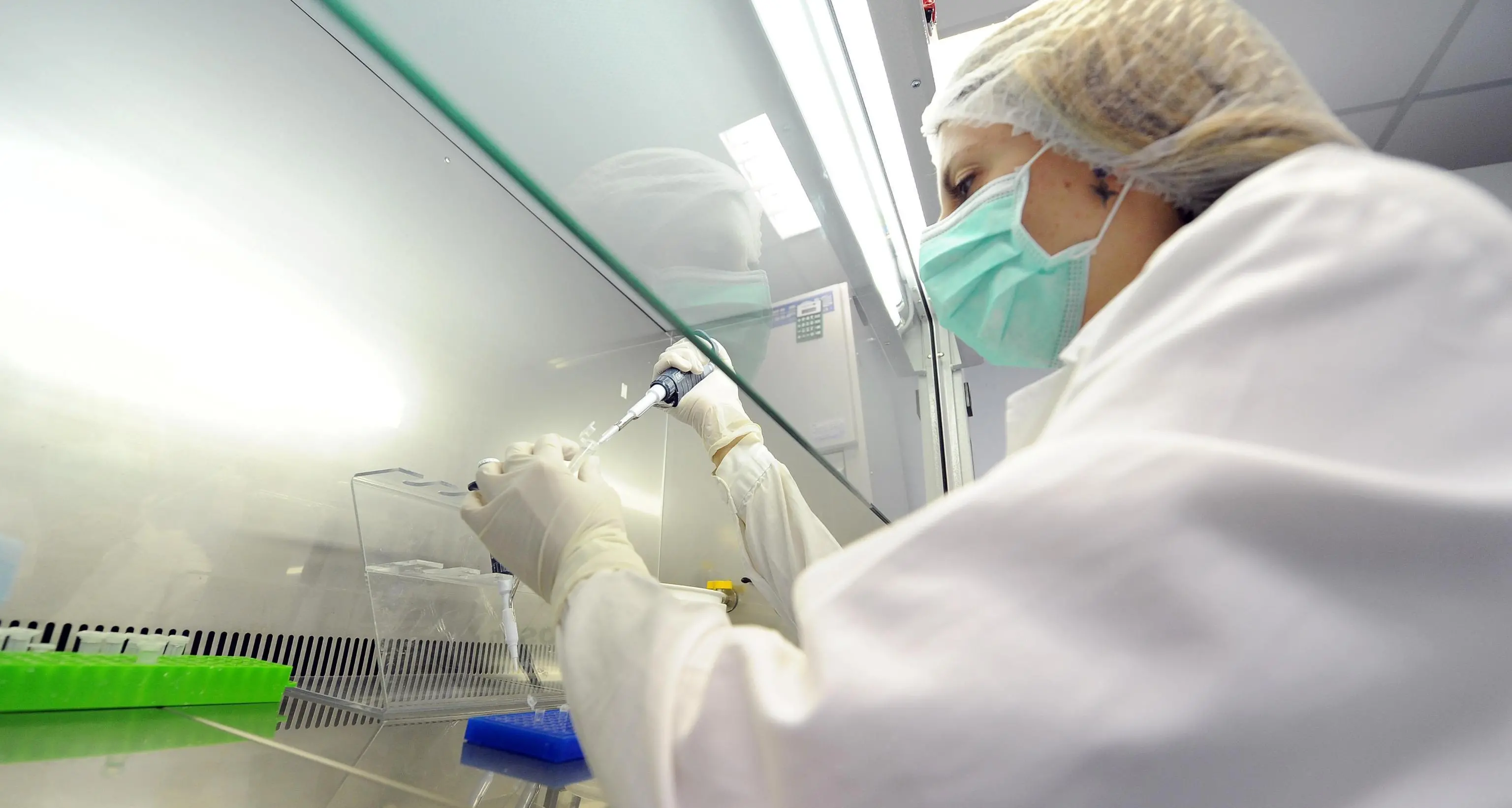 Il dna fa scoprire un ladro cinque anni dopo