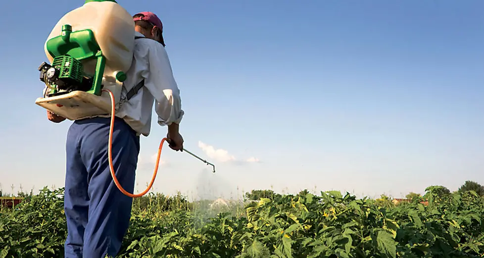 Pesticidi, acquisti boom in Trentino