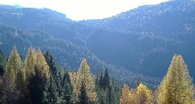Trento: Bioweek, nel nome delle foreste