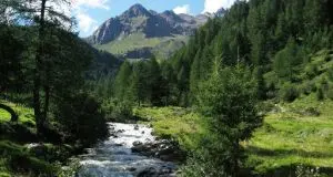 \"Parco Stelvio, la Provincia prenda in carico i lavoratori\"