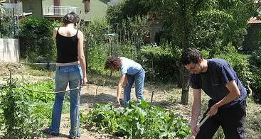 A Rovereto nascono gli orti comunitari