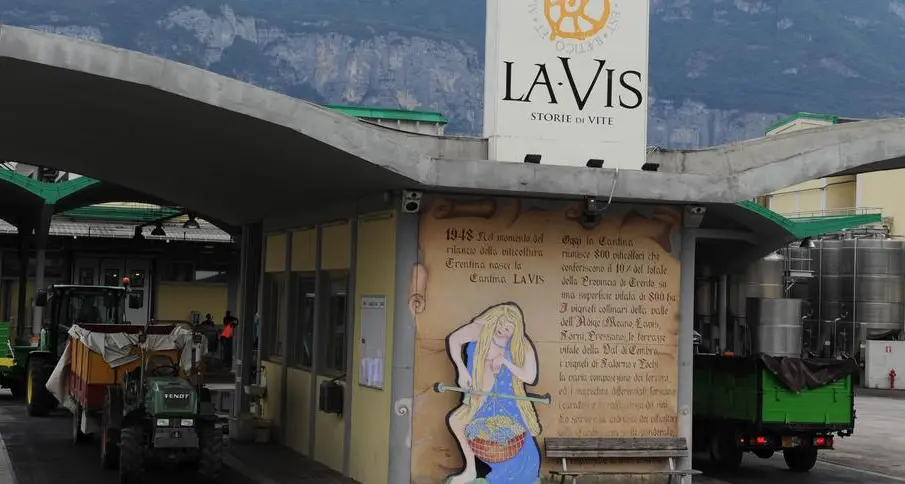 Scoppia il «caso LaVis» e il Pd stoppa Rossi