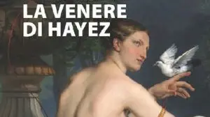 La copertina del romanzo