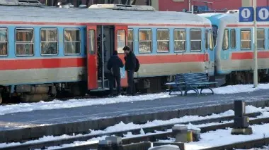 Treni fermi