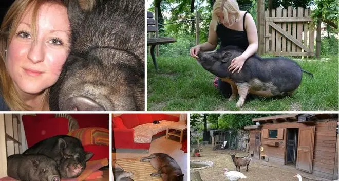 Casa Franzoi, dove i maiali sono di famiglia