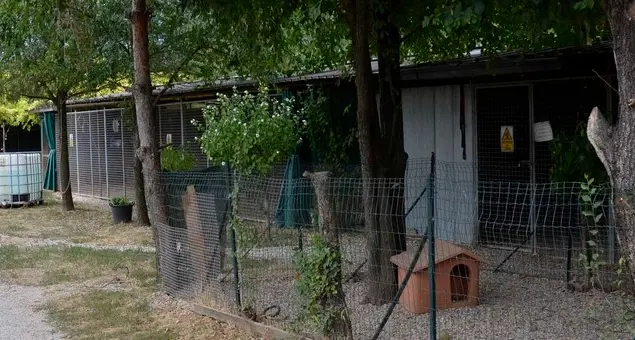 Canile, il Pan-Eppaa cerca la nuova sede
