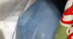 Mozzarelle blu, la Procura di Trento\"Le analisi escludono la tossicità\"