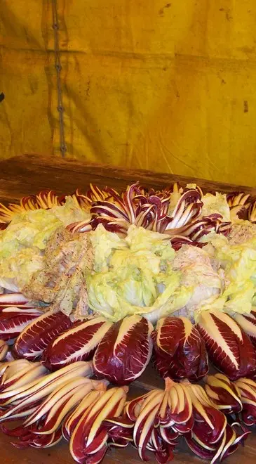 Igor: «Ho puntato sul radicchio per lanciare l’azienda agricola»