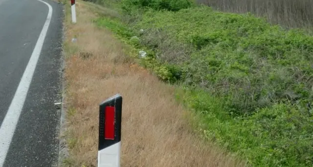 Quei bordi strada ingialliti per l’uso dei diserbanti