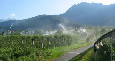 Troppe spese, frutticoltura in affanno