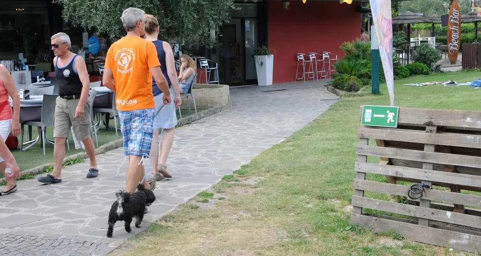 Riva: cani sul lungolago, ecco le prime multe