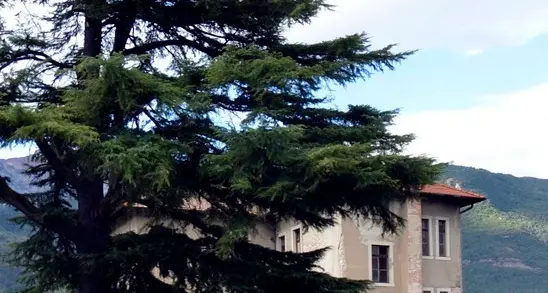 I presidenti dei rioni scaricano il sindaco
