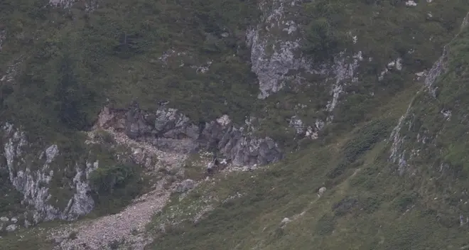 Ruba fossili nel Parco, sorpreso dalla Forestale