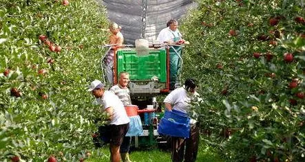 L’agricoltura e le tasse: timori per la nuova Imu
