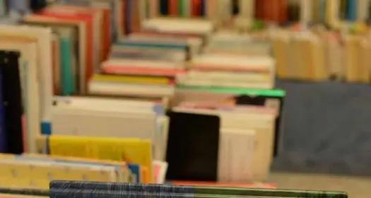 «Svendita» di libri, da oggi a 7 euro