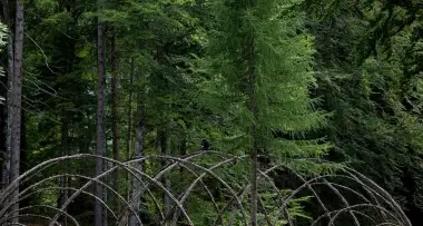 Arte Sella tra respiri e sguardi
