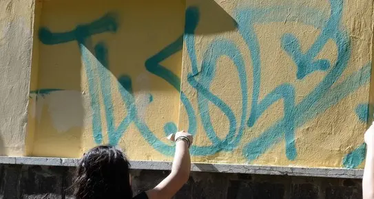 Gli studenti ripuliscono la scuola