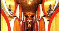 Vino, ecco le linee guida del rilancio